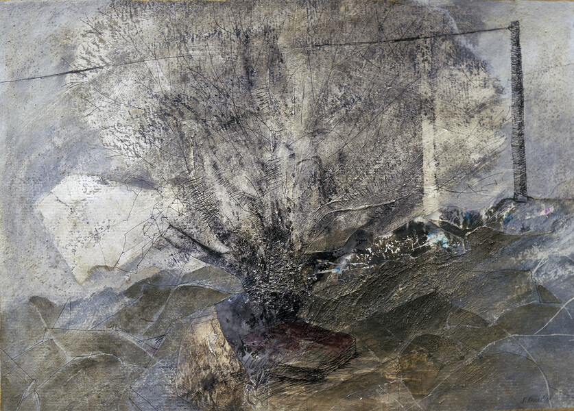 Strom na staveništi _ Tree at Construction Site