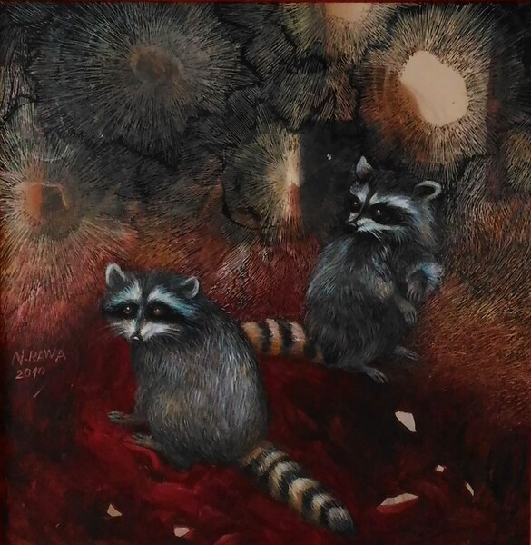 Mývalové _ Raccoons