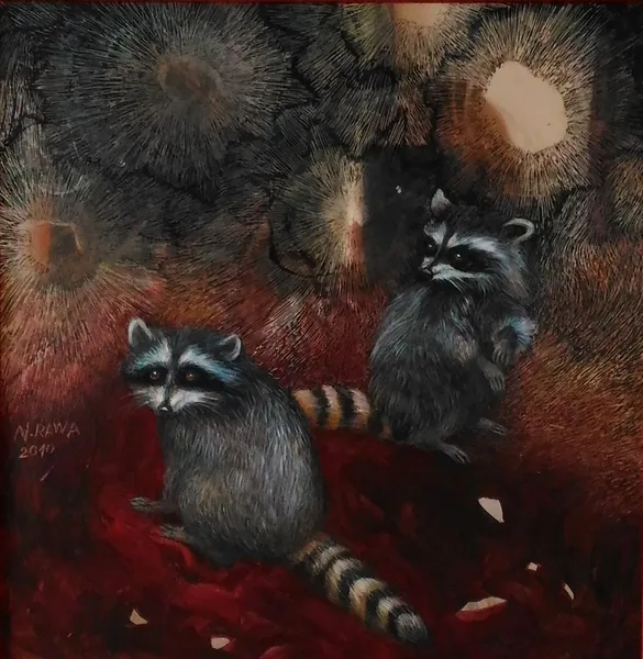 Mývalové _ Raccoons